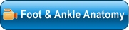 Foot & Ankle Anatomy