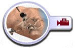 Hip Arthroscopy, Pocatello Idaho