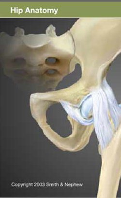 Total Hip Replacement Surgery
